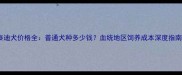 泰迪犬价格全普通犬种多少钱血统地区饲养成本深度指南