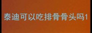 泰迪可以吃排骨骨头吗