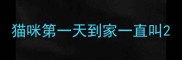 猫咪第一天到家一直叫