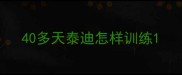 40多天泰迪怎样训练