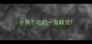 小狗不吃奶一直睡觉
