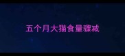 五个月大猫食量骤减