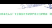 小狗感冒打喷嚏流鼻涕怎么办专业兽医教你家庭护理与预防措施附症状识别指南