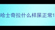 哈士奇拉什么样屎正常