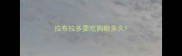 拉布拉多要吃狗粮多久