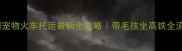 深圳宠物火车托运最新全攻略带毛孩坐高铁全流程