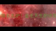 拉布拉多智商排名出炉金毛天生的优势与训练技巧
