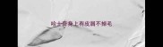 哈士奇身上有皮屑不掉毛
