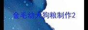 金毛幼犬狗粮制作