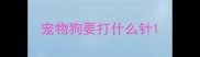 宠物狗要打什么针