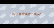 狗上牌需要什么疫苗