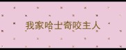 我家哈士奇咬主人