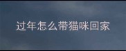 过年怎么带猫咪回家