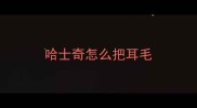 哈士奇怎么把耳毛