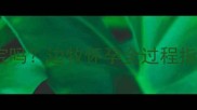 泰迪和边牧能生宝宝吗边牧怀孕全过程指南新手养宠必看