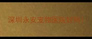 深圳永安宠物医院好吗