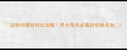 边牧VS德牧对比攻略养大型犬必看的优缺点全
