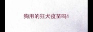 狗用的狂犬疫苗吗