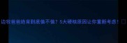 边牧爸爸绝育到底值不值5大硬核原因让你重新考虑
