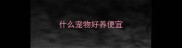 什么宠物好养便宜