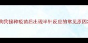 狗狗接种疫苗后出现半针反应的常见原因