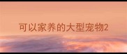 可以家养的大型宠物