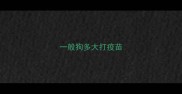 一般狗多大打疫苗