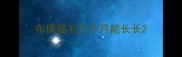 布偶猫毛几个月能长长