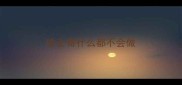 哈士奇什么都不会做