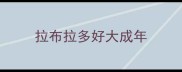 拉布拉多好大成年