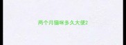 两个月猫咪多久大便