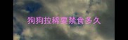 狗狗拉稀要禁食多久
