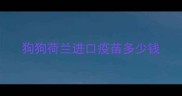 狗狗荷兰进口疫苗多少钱