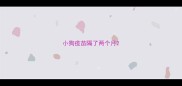 小狗疫苗隔了两个月