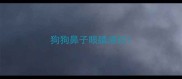 狗狗鼻子眼睛溃烂