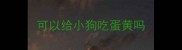 可以给小狗吃蛋黄吗