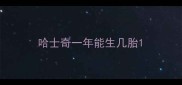 哈士奇一年能生几胎