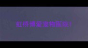 虹桥博爱宠物医院