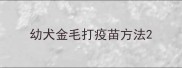幼犬金毛打疫苗方法