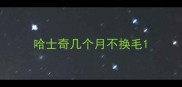 哈士奇几个月不换毛