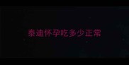 泰迪怀孕吃多少正常