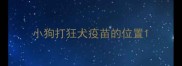 小狗打狂犬疫苗的位置