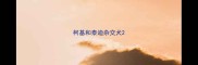 柯基和泰迪杂交犬