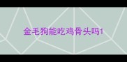 金毛狗能吃鸡骨头吗
