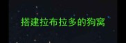 搭建拉布拉多的狗窝