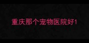 重庆那个宠物医院好