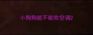 小狗狗能不能吹空调