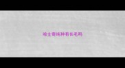 哈士奇纯种有长毛吗