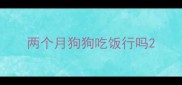 两个月狗狗吃饭行吗