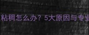 哈士奇便便粘稠怎么办5大原因与专业饲养指南